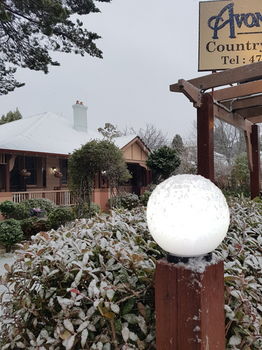 Hotel Avonleigh - Accommodation Noosa 58