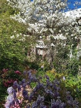 Hotel Avonleigh - Accommodation Noosa 62