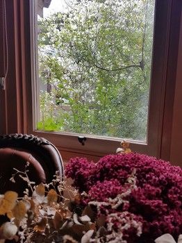 Hotel Avonleigh - Accommodation Noosa 64