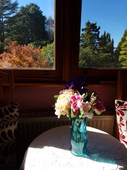 Hotel Avonleigh - Accommodation Noosa 66