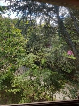 Hotel Avonleigh - Accommodation Noosa 70