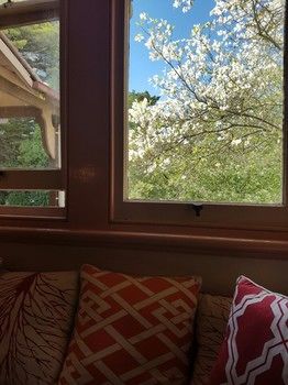 Hotel Avonleigh - Accommodation Noosa 71