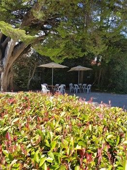 Hotel Avonleigh - Accommodation Noosa 74