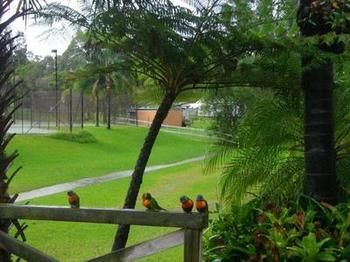 The Falls - Accommodation Noosa 17