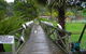 The Falls - thumb 7