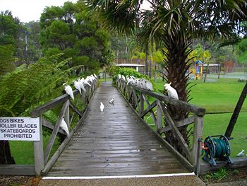 The Falls - Accommodation Noosa 7