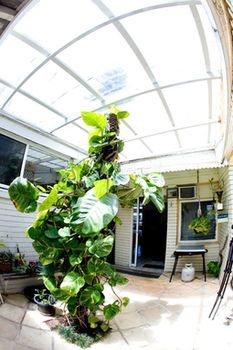 Manly Oceanside - Accommodation Noosa 0