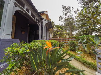 Manly Oceanside - Accommodation Noosa 81