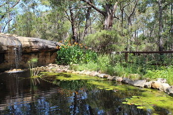 Storey Grange - Accommodation Noosa 12