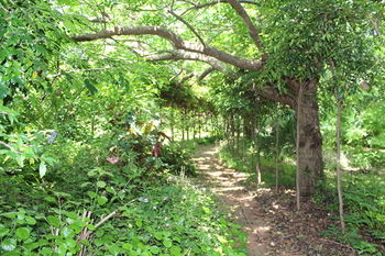 Storey Grange - Accommodation Noosa 13