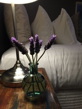 Lilies Luxury Retreats - Accommodation Noosa 51