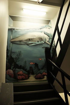 Sydney Backpackers - Hostel - Accommodation Noosa 30