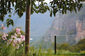 Echoes Boutique Hotel And Restaurant - Accommodation Noosa 13