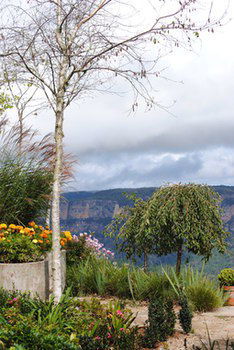 Echoes Boutique Hotel And Restaurant - Accommodation Noosa 17
