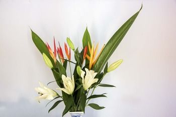 Ninderry Manor Luxury Retreat - Accommodation Noosa 8