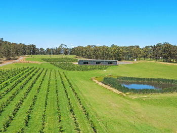 The Longhouse - Accommodation Noosa 11