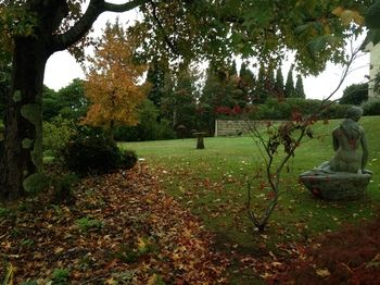 Silvermere - Accommodation Noosa 10