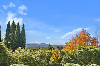 Silvermere - Accommodation Noosa 22