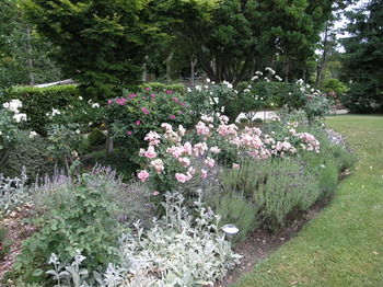 Silvermere - Accommodation Noosa 33