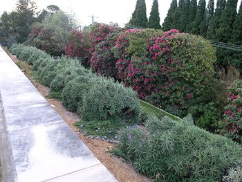 Silvermere - Accommodation Noosa 0