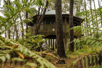 Federation Gardens & Possums Hideaway - Accommodation Noosa 3