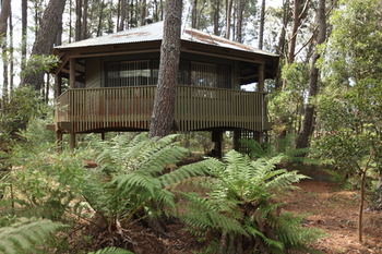 Federation Gardens & Possums Hideaway - Accommodation Noosa 8