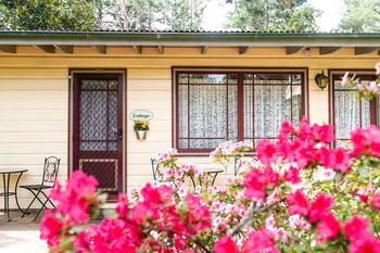 Federation Gardens & Possums Hideaway - Accommodation Noosa 19