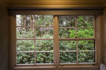 Federation Gardens & Possums Hideaway - Accommodation Noosa 39