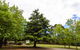 Federation Gardens & Possums Hideaway - thumb 41