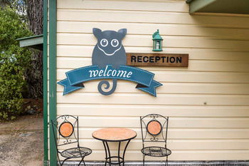 Federation Gardens & Possums Hideaway - Accommodation Noosa 46