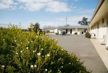 Merivale Motel - Accommodation Noosa 1