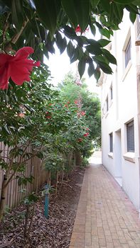 Waldorf Hornsby Residential Apartments - Accommodation Noosa 8