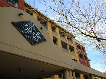 Waldorf Randwick Serviced Apartments - Accommodation Noosa 5
