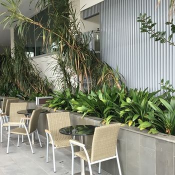 Best Western Premier Hotel 115 Kew - Accommodation Noosa 22