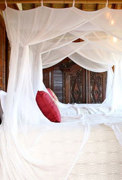 Makepeace Island - All Inclusive - Accommodation Noosa 21