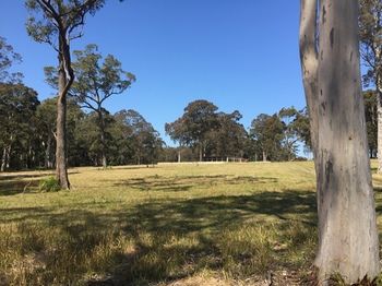 Worrowing At Jervis Bay - Accommodation Noosa 81