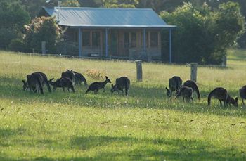 Worrowing At Jervis Bay - Accommodation Noosa 31