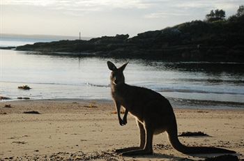Worrowing At Jervis Bay - Accommodation Noosa 35