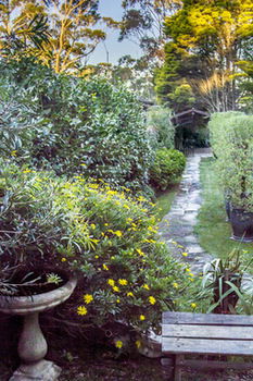 Crimson Villa - Accommodation Noosa 22