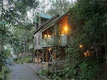 Barrington Wilderness Cedar Lodge Accommodation - Accommodation Noosa 3