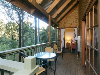 Barrington Wilderness Cedar Lodge Accommodation - Accommodation Noosa 5