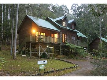 Barrington Wilderness Cedar Lodge Accommodation - Accommodation Noosa 6