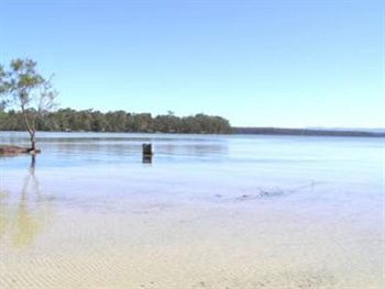 Paradise Bungalow - Accommodation Noosa 8