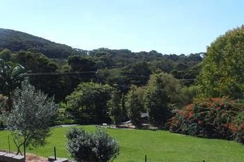 Terrigal Hinterland Bed And Breakfast - Accommodation Noosa 14