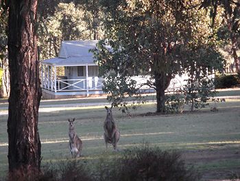 Cam-Way Estate - Accommodation Noosa 3