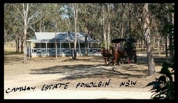 Cam-Way Estate - Accommodation Noosa 31