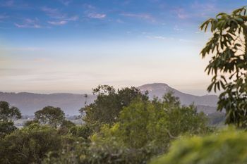 Eden Lodge - Accommodation Noosa 30