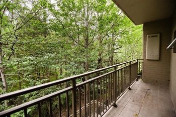 Bluegum Apartments - Accommodation Noosa 4