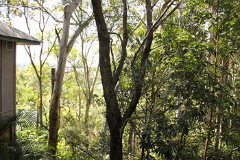 Arabella Guesthouse - Accommodation Noosa 18