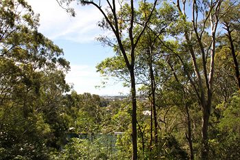 Arabella Guesthouse - Accommodation Noosa 34